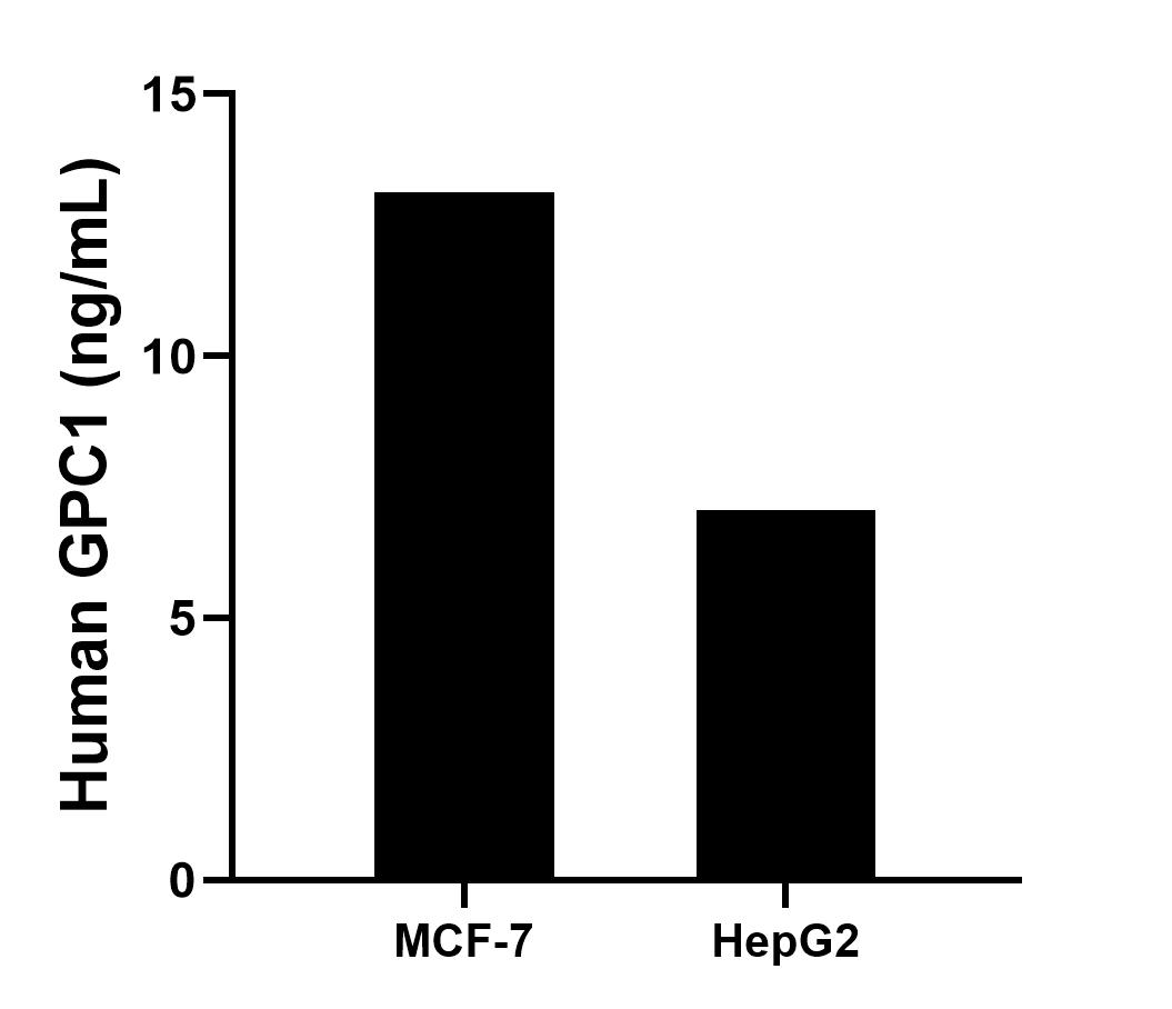 MCF-7 human breast cancer cells (5 x 10^6 cells/mL) were cultured in DMEM and 10% fetal bovine serum, 4 mM L-glutamine, 4500 mg/L glucose, 100 U/mL penicillin, and 100 μg/mL streptomycin sulfate. An aliquot of the cell culture supernatants was removed, assayed for human GPC1, and measured 13.1 ng/mL. 
HepG2 human hepatocellular carcinoma cells (5 x 10^6 cells/mL) were cultured in DMEM supplemented with 10% fetal bonive serum, 100 U/mL penicillin, and 100 μg/mL streptomycin sulfate. An aliquot of the cell culture supernatants was removed, assayed for human GPC1, and measured 7.1 ng/mL. 